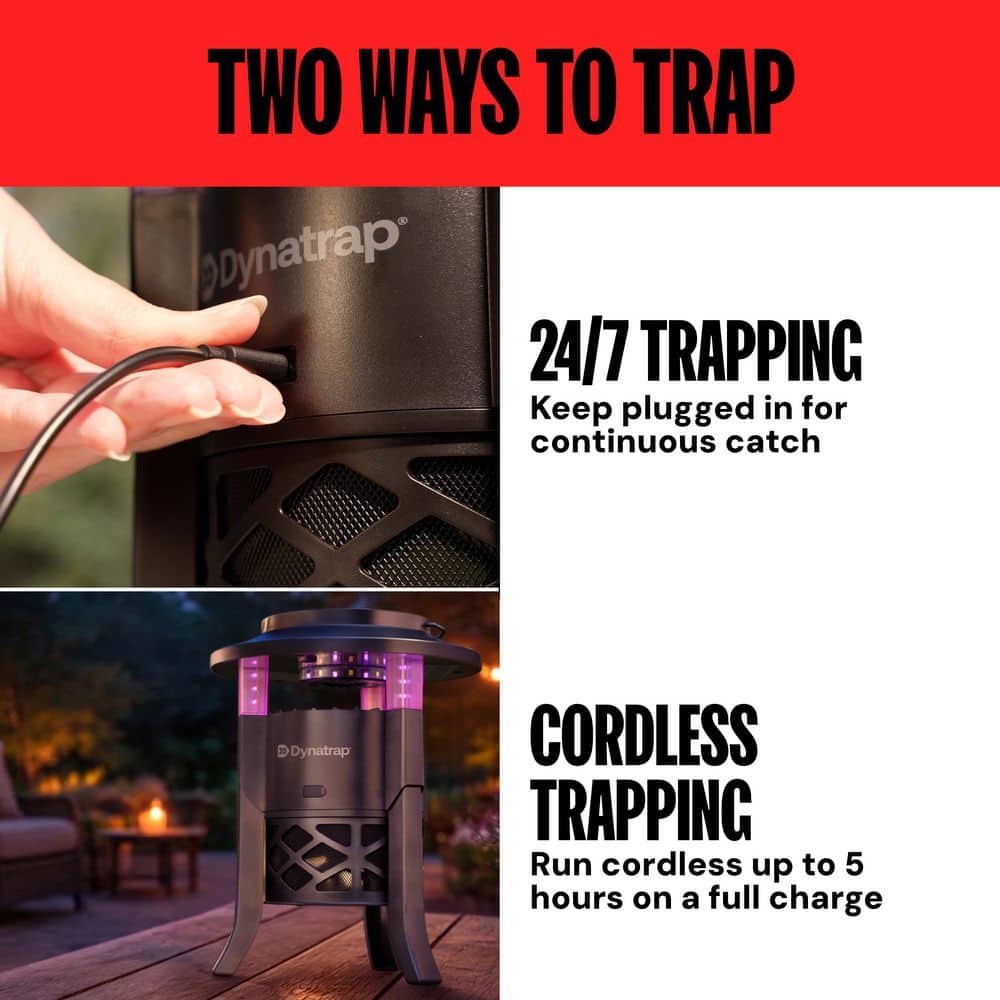 DynaTrap Solar-Powered Outdoor UV-LED Flying Insect Trap