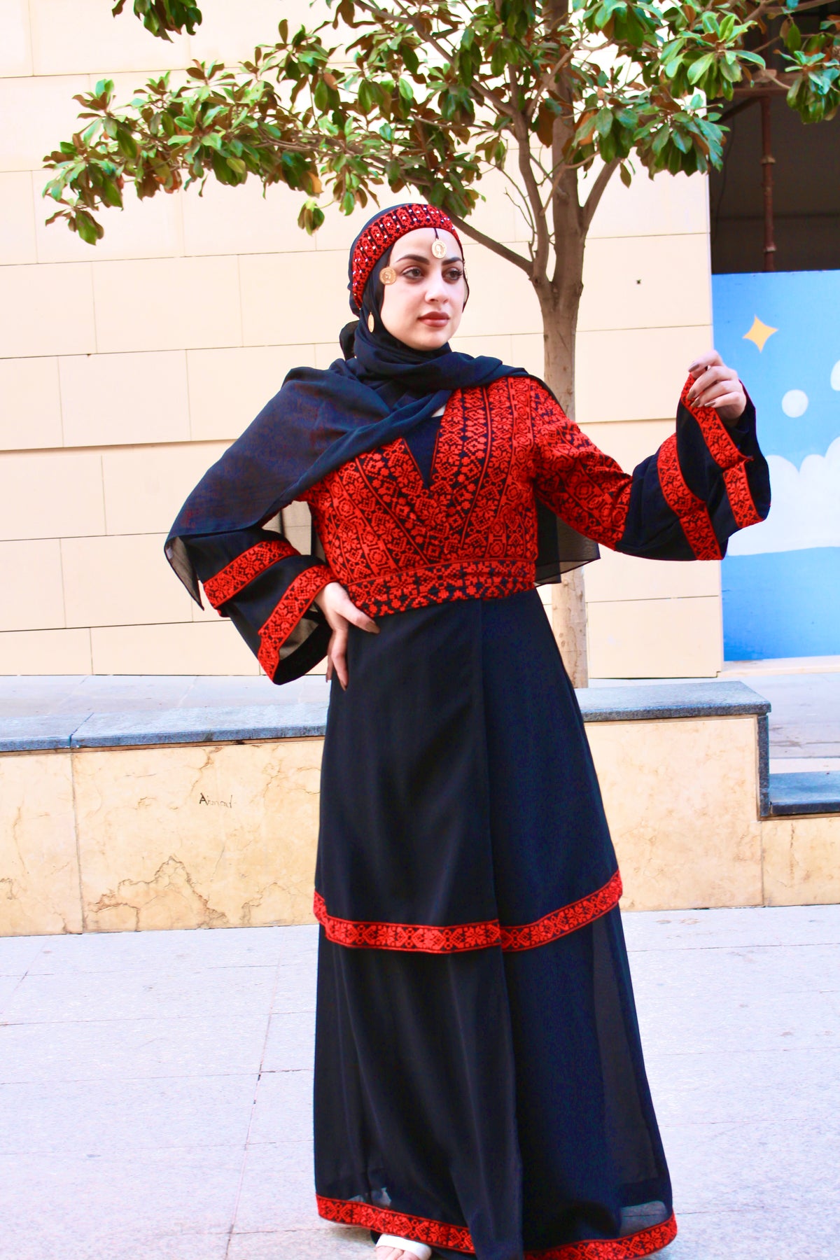 Embroidered and pleated dress with embroidered center and sleeves – ROZAYT